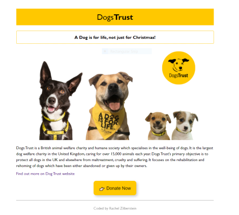 Dogs trust project preview